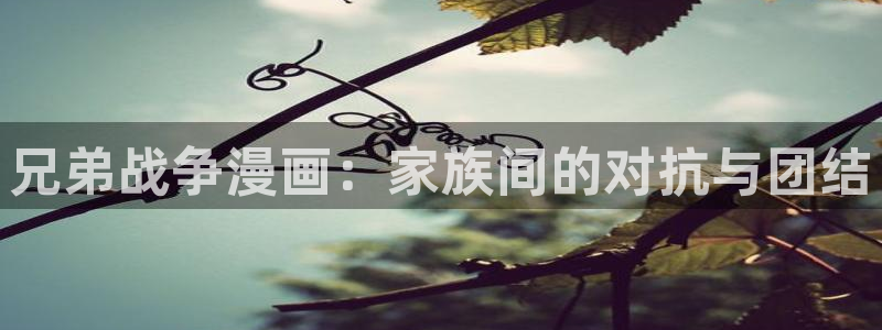 给大家科普一下51漫画