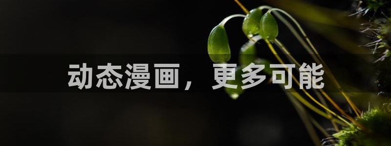 www.51漫画